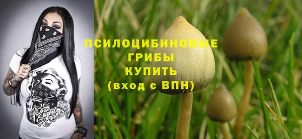 кокс Абаза